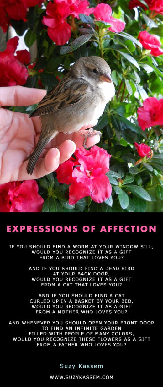 Expressions of Affection by Suzy Kassem Poetry